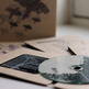 Cd_product_shot_4_small