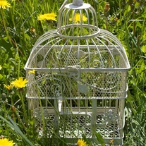 'ethel' vintage birdcage: rectangle handpicked from italy