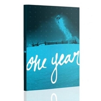 One Year Snowboard DVD