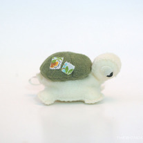 Wonder Sea Turtle