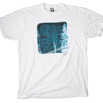 Winter (white)