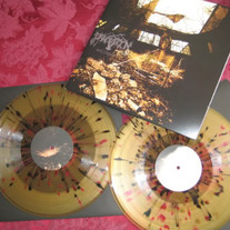 Panopticon - Collapse 2xLP