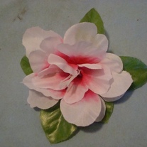 Dsc06653_medium
