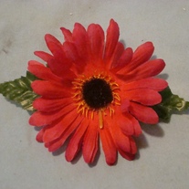 Dsc06647_medium