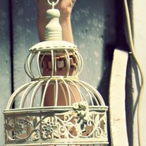 vintage birdcages: handpicked from italy