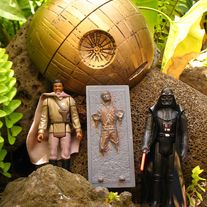 Frozen in Carbonite