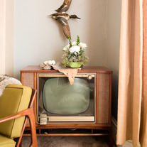 Reynolds_sebastiani_107_medium