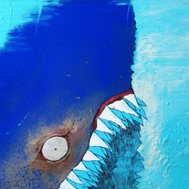 Shark_medium