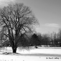 Wm_-_ravages_of_winter_medium