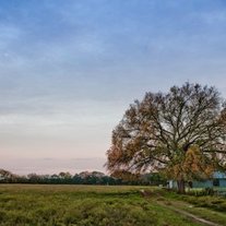 Photo_medium