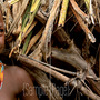 Sex & Money: A Global Search for Human Worth :: The Book - Thumbnail 3