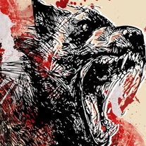 Wolf_medium