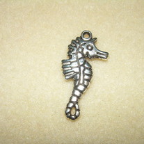 Seahorse ~ charm