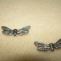 Dragonfly wings