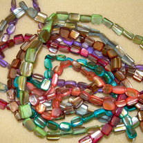 Shell Beads ~ Variety Pack