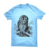 Owl_blue2_medium