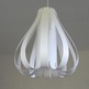 Bulb-rotated_small