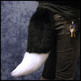 Tailblack_small