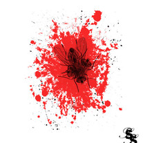 The-let-down_medium