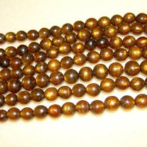 Gold Coral