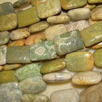 Fossil Coral ~ rectangle