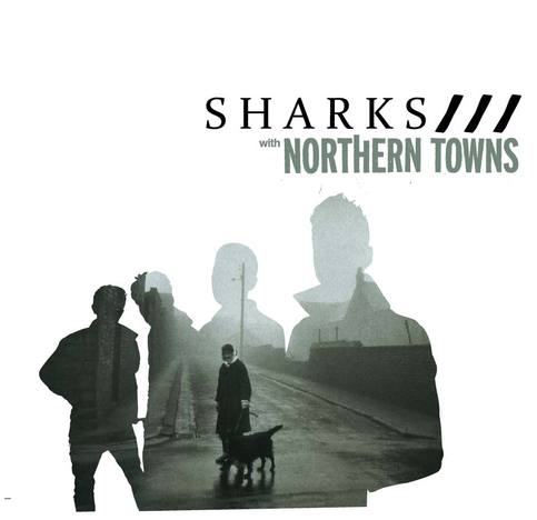 Sharks_cover_large