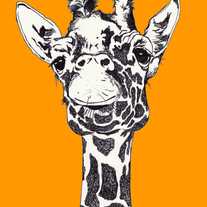 Orangegiraffe_medium