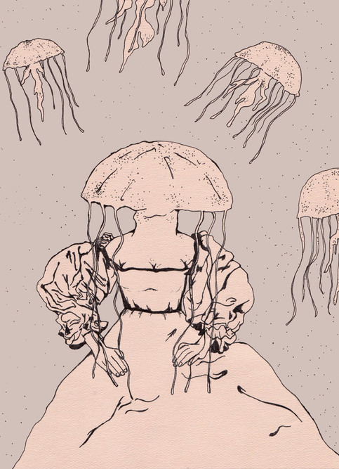 Jellyfish_large