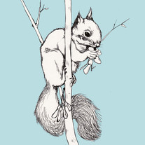 Squirrel2blue_medium
