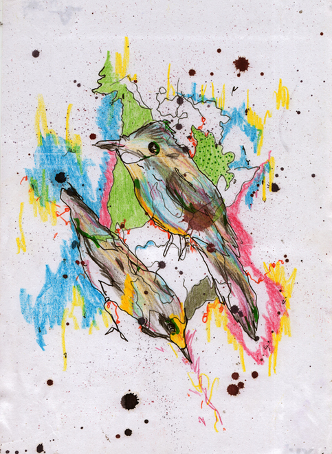 "birds" print (a4)