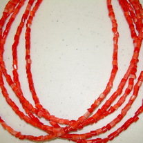 Coral ~ orange tube