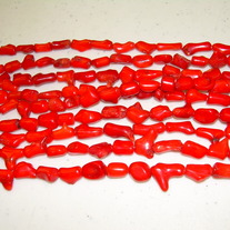 Coral ~ Small branch