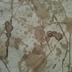 Untitled Wine #2 **SOLD** - Thumbnail 2