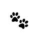 Paws6
