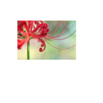 Slide2