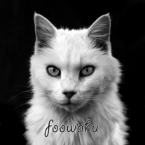 Storenvy_cat2