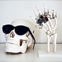 Skull