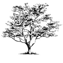 Phantom_limbs_icon_tree