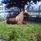 Mrnibbles2