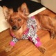 Iphone_080