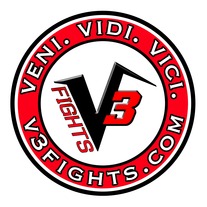 V3Fights