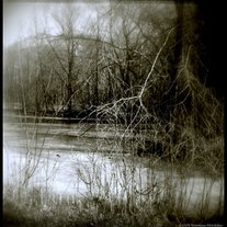 Frozen_creek