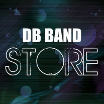 Drew Bodine Band