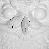 Owl_face