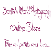 Store-logo