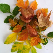 2010-09-29_088