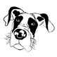 Jack_logo3