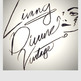 Ldv_copy1