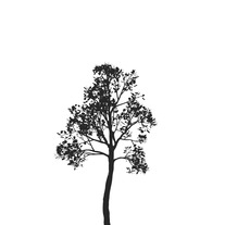 Blankcanvaslogo