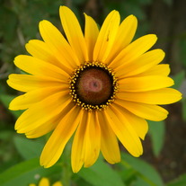 Dscn2171